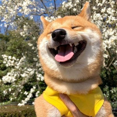 Juan Dela Cruz avatar